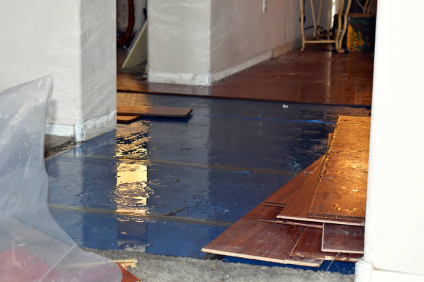 Professional Burst Pipe Cleanup technician working in Farmland, IN