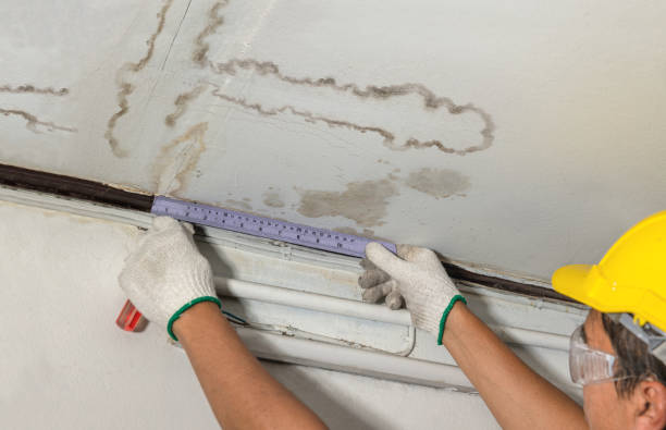 Reliable Burst Pipe Cleanup contractor in Farmland, IN by Water Damage Irwin
